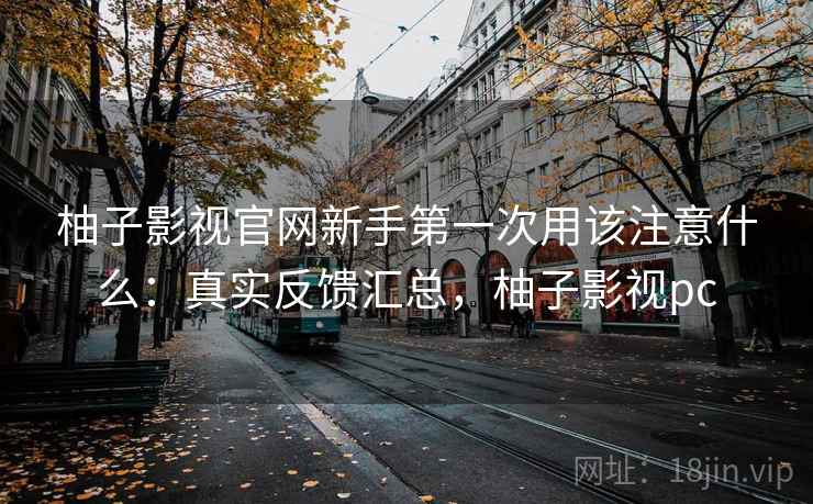 柚子影视官网新手第一次用该注意什么：真实反馈汇总，柚子影视pc